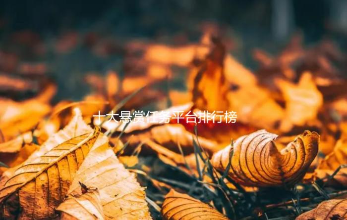 十大悬赏任务平台排行榜，悬赏平台app排行榜前十名