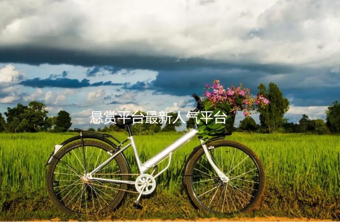 十大悬赏任务平台,悬赏平台最新人气平台是那些 第1张 十大悬赏任务平台,悬赏平台最新人气平台是那些 第1张