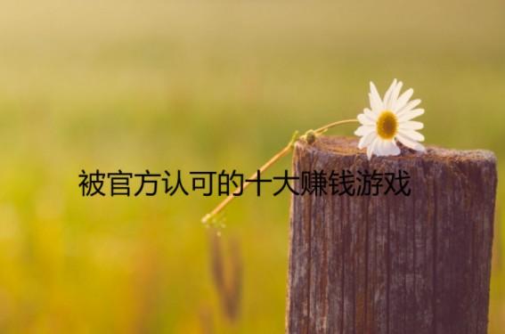 被官方认可的十大赚钱游戏,这几款都是不可错过的哦 第1张 被官方认可的十大赚钱游戏,这几款都是不可错过的哦 第1张